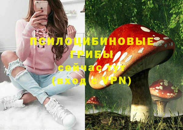 метамфетамин Ельня