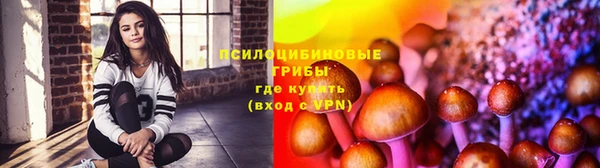 герыч Елизово
