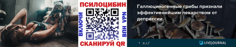 Купить где  Завитинск  Псилоцибиновые грибы Psilocybine cubensis 